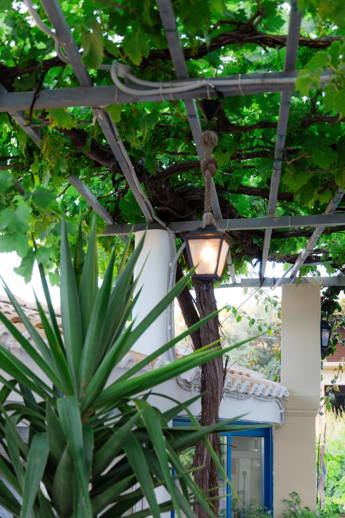 Sunsea Wellness Resort Agios Stefanos Avliotes  Esterno foto
