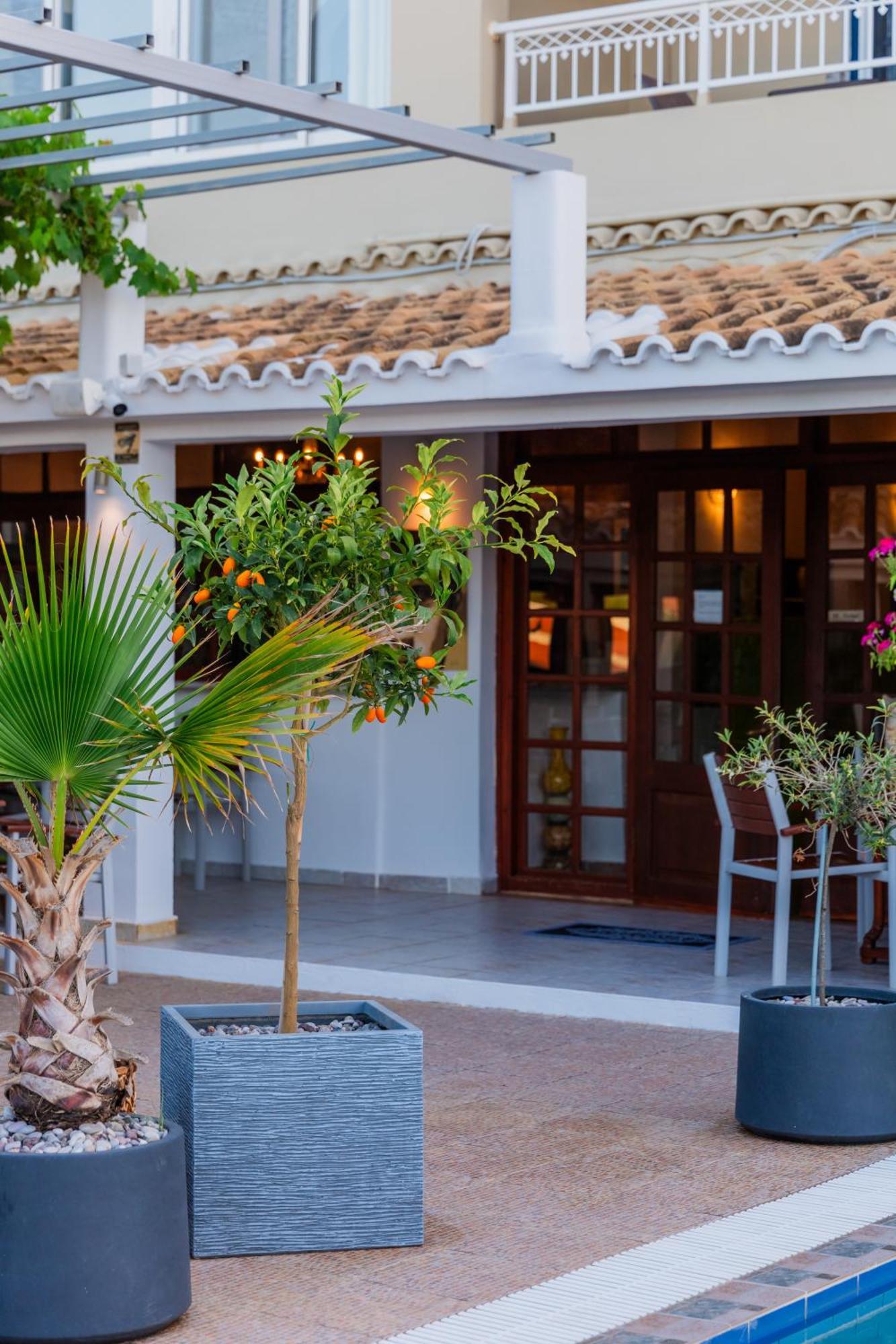 Sunsea Wellness Resort Agios Stefanos Avliotes  Esterno foto